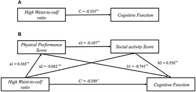 Waist-to-calf circumstance ratio and cognitive function among Chinese older adults: Mediating roles of physical performance and social activity